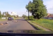 У Луцьку п’яний мотоцикліст невдало намагався проскочити між двома авто (відео)