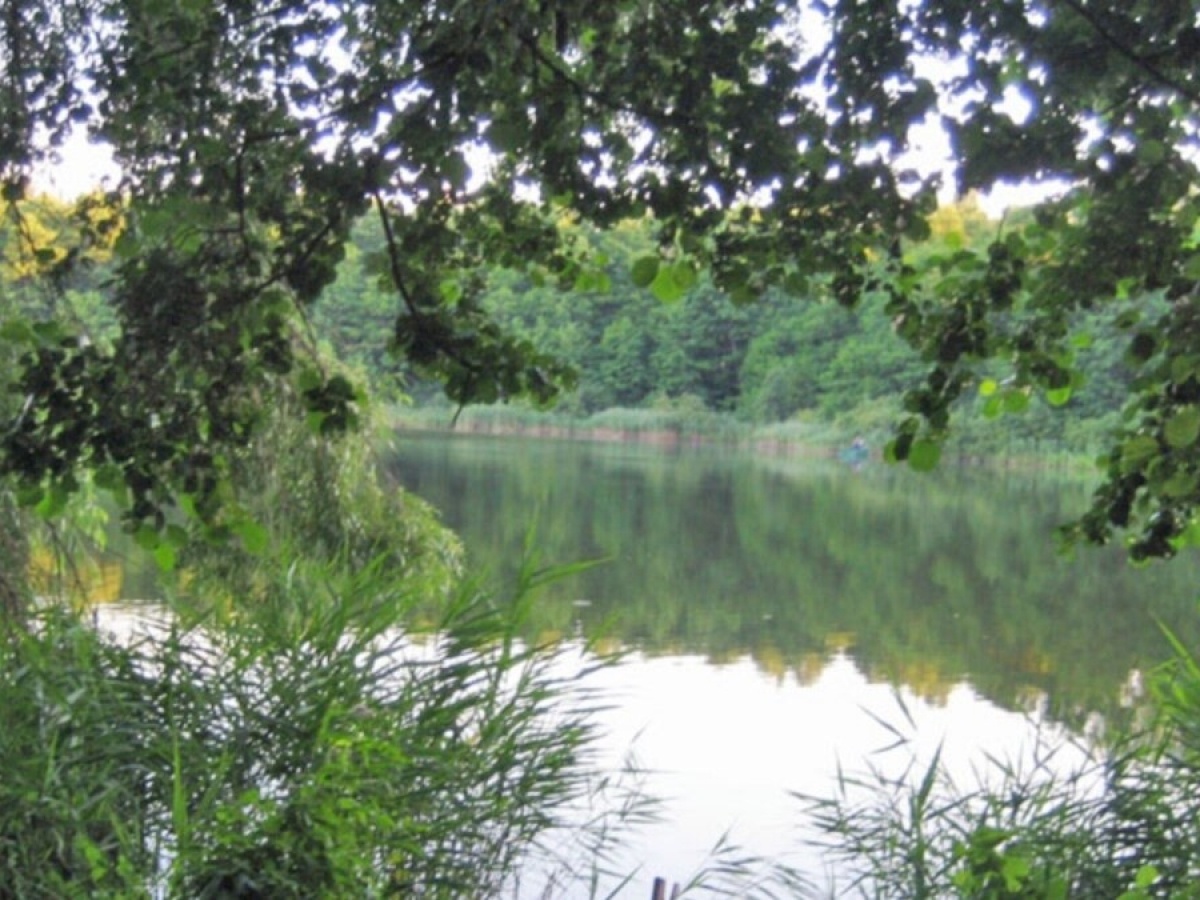 У Луцьку хочуть облікувати 36 об'єктів природно-заповідного фонду