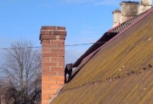 Волиняни викликали рятувальників, щоб зняти з даху свого пса