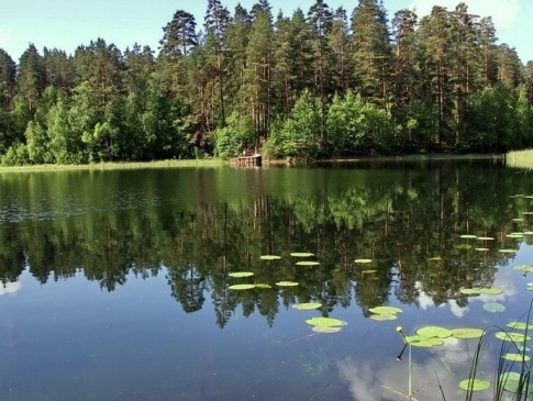 В Україні є озеро, яке не має дна