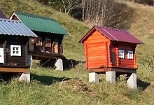 Бджолине село на Закарпатті
