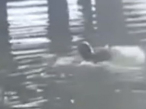 «Так ще ніхто не з**бувався»: на Хмельниччині чоловік стрибнув у річку, втікаючи від військкомів