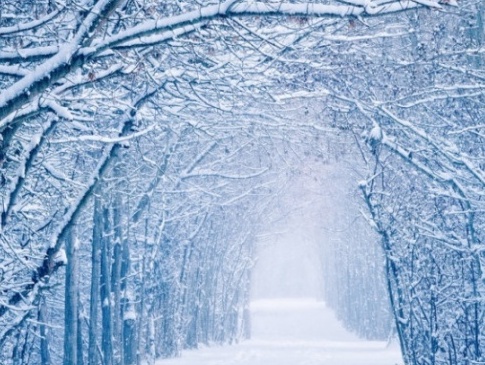 Де в Україні випаде сніг на Новий рік