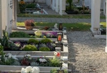 Чим можна замінити пластикові букети: що можна нести на кладовище у поминальні дні