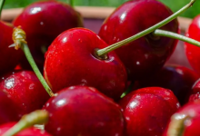 В Україні розпочався сезон черешні: які ціни на ягоду