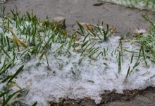 В Україні випав перший сніг: гору Піп Іван засніжило