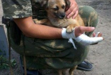 На луганському пункті пропуску «Довжанський» прикордонників про напади терористів попереджає собачка