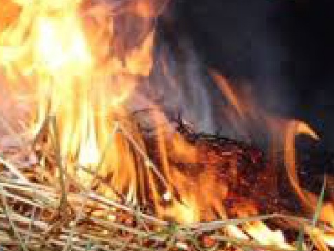На Волині діти бавлячись спалили 5 тонн сіна
