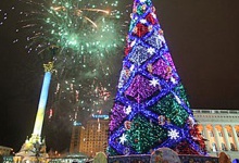 Київ встановить головну новорічну красуню — дерево привезуть із Прикарпаття