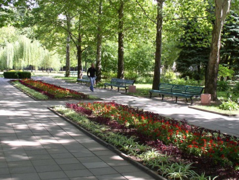 «Західній нафтовій групі» не дали забудувати парк у Миколаєві