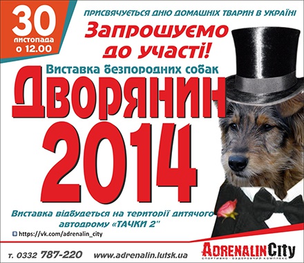 У Луцьку відбудеться фестиваль безпородних домашніх улюбленців «Дворянин-2014»