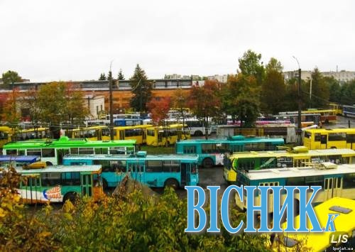 За рік луцькі тролейбусники перевезли понад 22 мільйони пасажирів, з них понад 17 мільйонів — пільговики