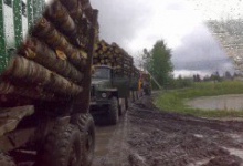На Волині селяни збунтувалися проти незаконних вирубок і заблокували рух лісовозів