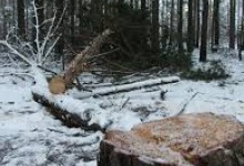 Білоруси перестануть пускати мешканців Рівненщини у свої ліси через браконьєрство