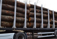 Затримали вантажівку з нелегальною деревиною