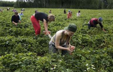 Українські трудові мігранти переказали додому з Європи понад 7 мільярдів доларів