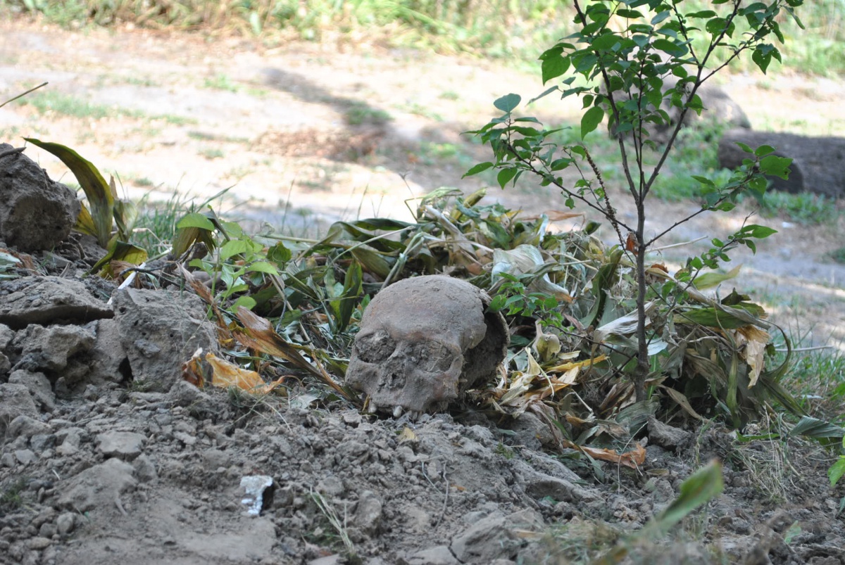 У Володимирі-Волинському поблизу магазину виявили череп
