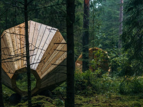 Эстонські студенти виготовили гігантські рупори... щоб слухати ліс