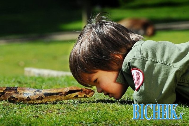 Півторарічний малюк загриз отруйну змію