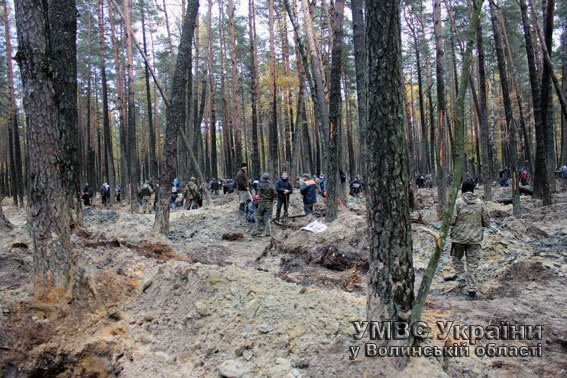Правоохоронці не дадуть буштинокопачам зустріти новий рік у волинських лісах