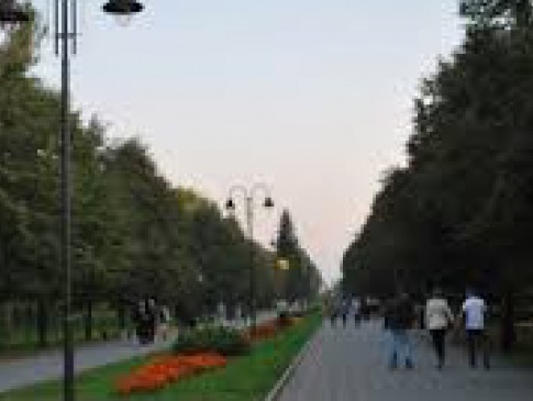 Центральний парк Луцька пропонують «покращити» великою автопарковкою