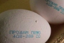 Директор челябінської птахофабрики розмістив на яйцях... оголошення про продаж свого авто