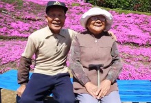 Японець два роки висаджував тисячі квітів, щоб сліпа дружина могла відчути їх аромат
