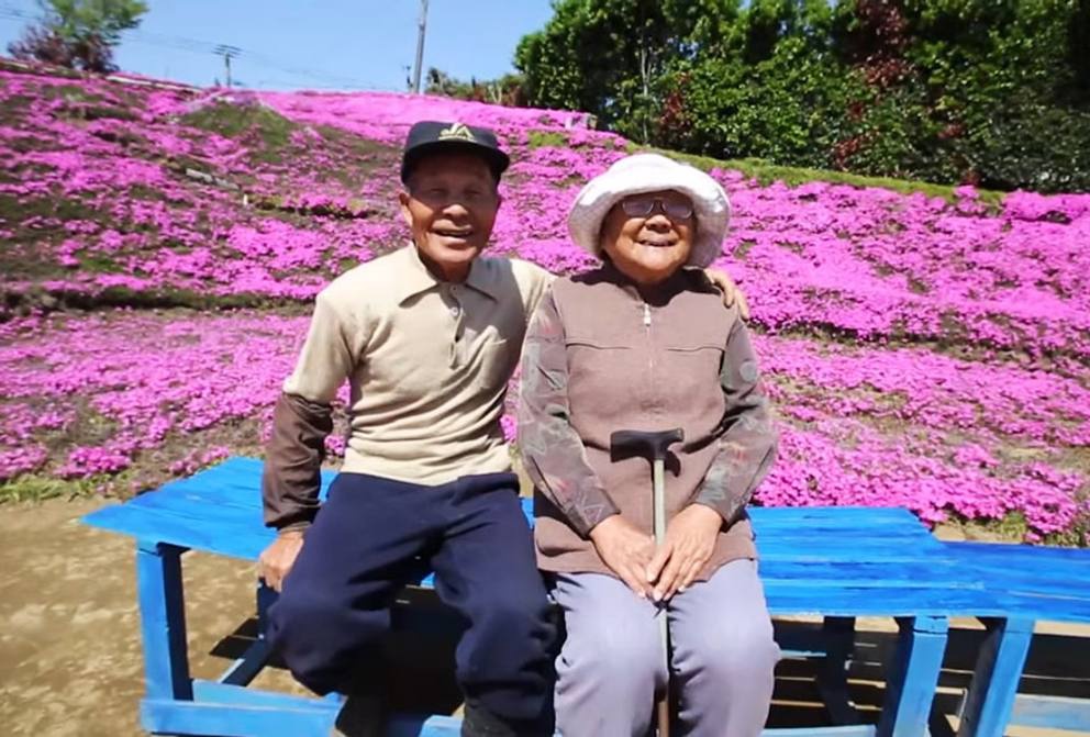 Японець два роки висаджував тисячі квітів, щоб сліпа дружина могла відчути їх аромат