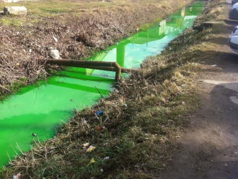 Мешканець Коломиї «пофарбував» місцеву річку у зелений колір