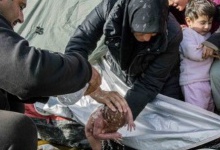 Як біженці миють немовлят у калюжах... Шокуюче фото вже облетіло світ