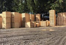 Закордон намагалися вивезти нелегальну деревину з Волині на 40 мільйонів гривень