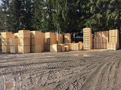 Закордон намагалися вивезти нелегальну деревину з Волині на 40 мільйонів гривень