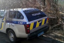 У Нововолинську «підбили» спиляною березою новеньке поліцейське авто
