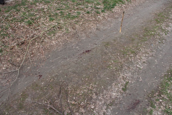 На Чернігівщині під час затримання убивць отримали поранення троє поліцейських