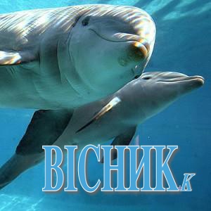 На Вінниччині вкрали... двох дельфінів вартістю 200 тисяч євро!