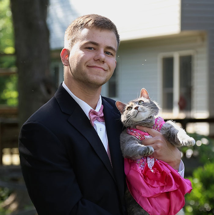 Американець замість дівчини запросив на випускний вечір кішку
