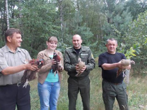 Волинські лісівники випустили на волю 30 фазанів