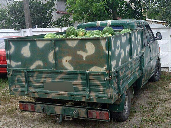 У Ківерцях ліквідували нелегальну «точку» з продажу кавунів — майже тисячу смугастих вилучили