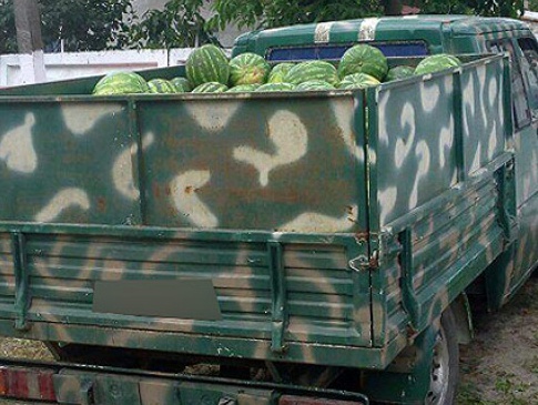 У Ківерцях ліквідували нелегальну «точку» з продажу кавунів — майже тисячу смугастих вилучили