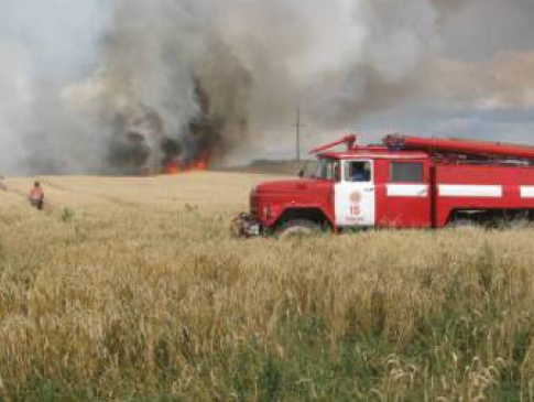 На Волині жінці, яка спалила чужу пшеницю виставили рахунок за збитки — 2 мільйони гривень
