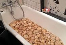 Як російські туристи солили гриби у ванні швейцарського готелю