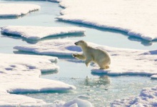 Арктичний лід далі тане