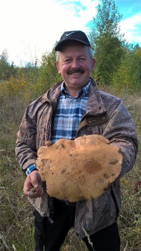 Волинянин знайшов гриб вагою понад кілограм