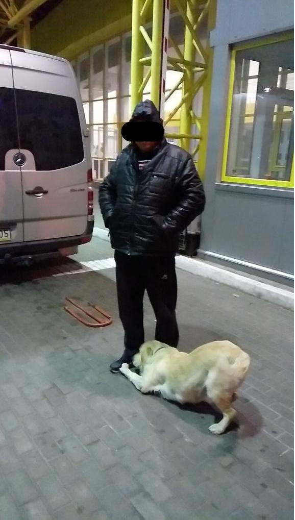 За два дні собака-прикордонниця організувала кримінал трьом любителям «травки»