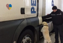 На волинському кордоні собака винюхав у німця заборонені таблетки