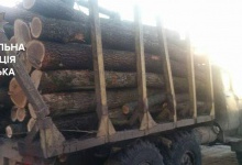 На Волині затримали машину комерційної деревини оформлену «дровами»
