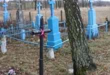 На Волині хтось додумався збирати березовий сік на кладовищі