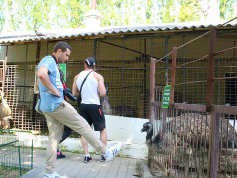 У Луцькому зоопарку чоловік намагався вдарити ногою страуса