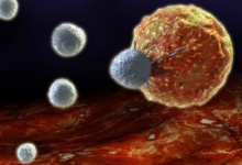 Створили клітини-убивці раку