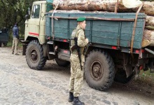 Луцькі прикордонники затримали вантажівку з незаконною деревиною